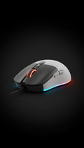 RGB Gaming Mouse with Adjustable Weight